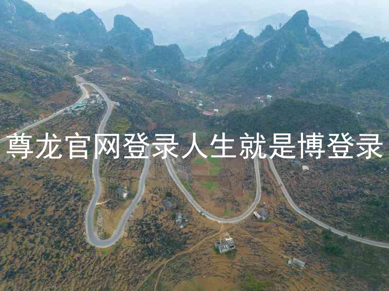 尊龙官网登录人生就是博登录